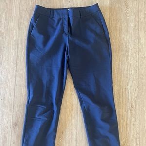 Express Women’s Columnist Pants in Navy